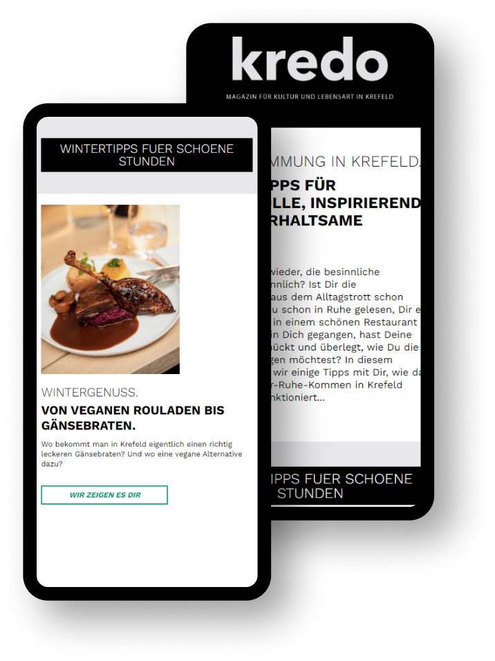 Kredo CleverReach Template